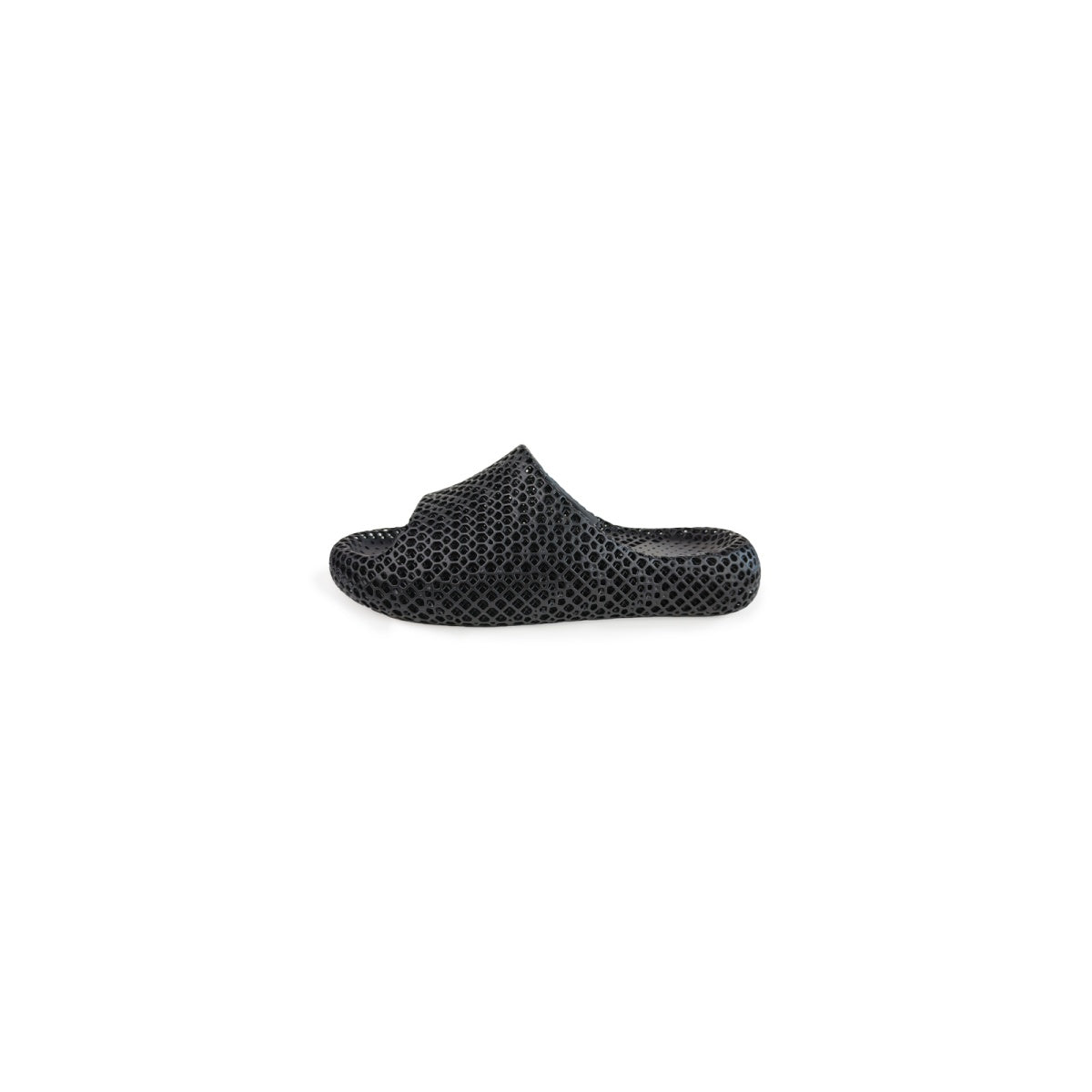 AC3D Dolphin Soft-Bounce Slippers