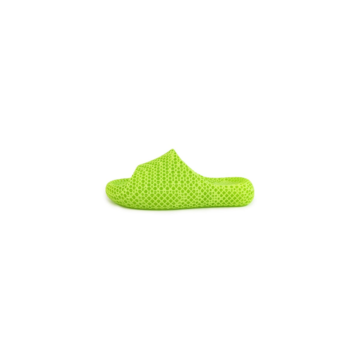 AC3D Dolphin Soft-Bounce Slippers