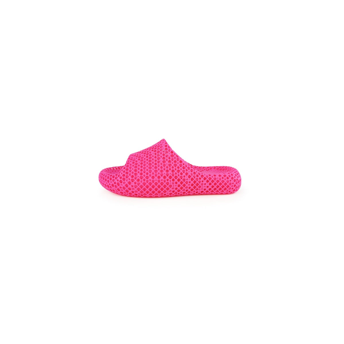 AC3D Dolphin Soft-Bounce Slippers