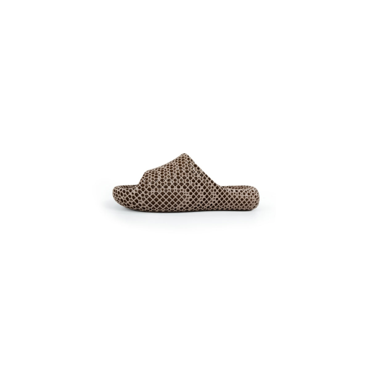 AC3D Dolphin Soft-Bounce Slippers