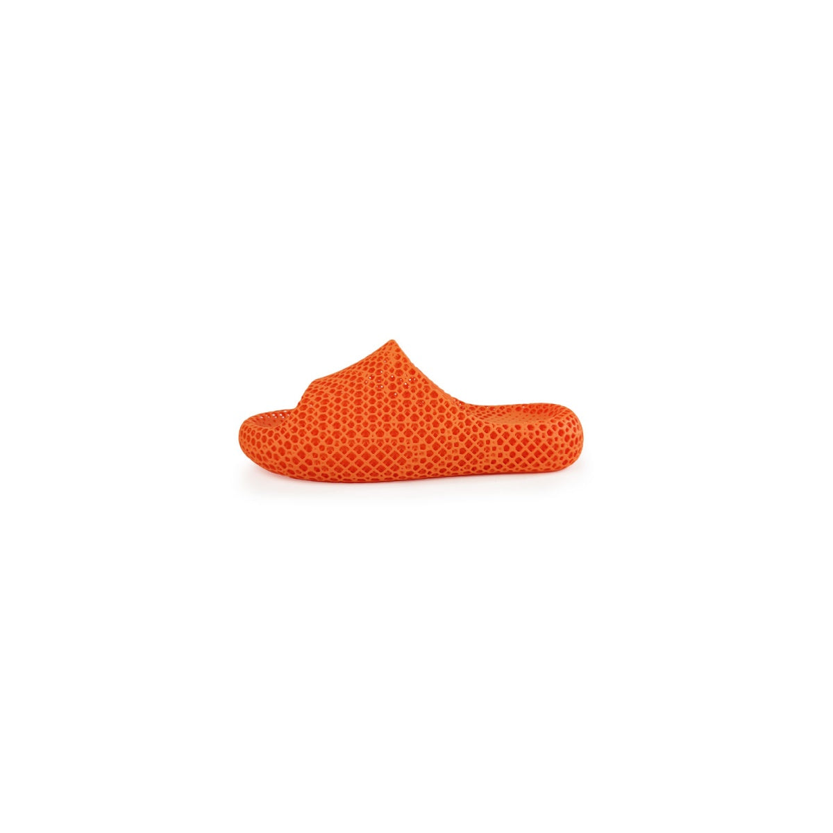 AC3D Dolphin Soft-Bounce Slippers