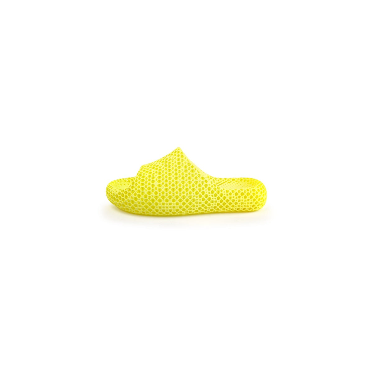 AC3D Dolphin Soft-Bounce Slippers